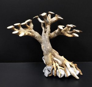 Коряга "Бонсай" 26х13х21см B93-S