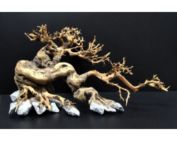 Коряга "Бонсай" 36х20х21см B74-L