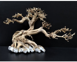 Коряга "Бонсай" 43х21х29см B97-L
