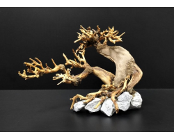 Коряга "Бонсай" 18х13х13см B75-XS