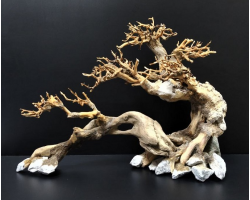 Коряга "Бонсай" 37х14х27см B94-L