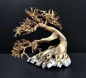 Коряга "Бонсай" 27х19х24см B76-M