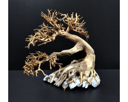 Коряга "Бонсай" 27х19х24см B76-M