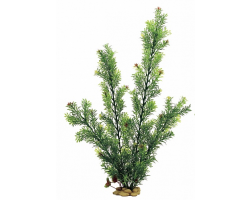 ArtUniq  Rotala green 60 - Искусственное растение Ротала зеленая 60см