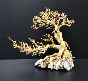 Коряга "Бонсай" 24х15х22см B63-S