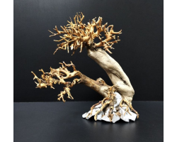 Коряга "Бонсай" 23х14х23см B84-S