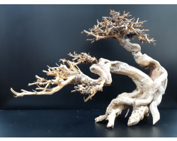 Коряга "Бонсай" 25х12х21см B17-M