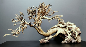 Коряга "Бонсай" 57х22х28см B58-L