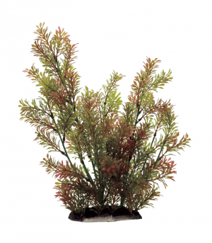 ArtUniq  Rotala  indica 35 - Искусственное растение ротала индийская 35см