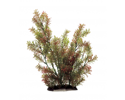 ArtUniq  Rotala  indica 35 - Искусственное растение ротала индийская 35см