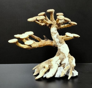 Коряга "Бонсай" 18х10х16см B50-XS