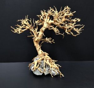 Коряга "Бонсай" 27х17х25см B66-M