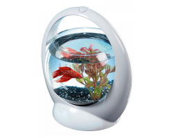 Tetra Betta Ring 1.8 литра  Круглый аквариум