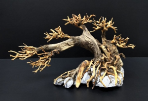 Коряга "Бонсай" 25х13х15см B71-S