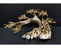 Коряга "Бонсай" 25х13х15см B71-S