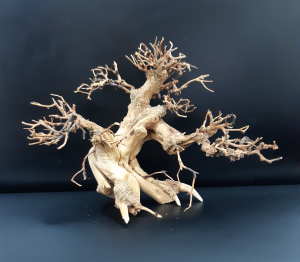 Коряга "Бонсай" 23х15х18см B05-S