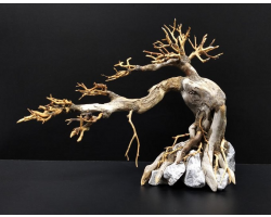 Коряга "Бонсай" 26х10х20см B91-S