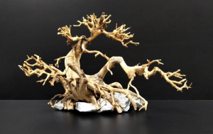 Коряга "Бонсай" 25х12х16см B89-S