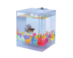 A-A Aqua Box Betta Аквариумдля петушков 1.3 литра 12х12х14,5см