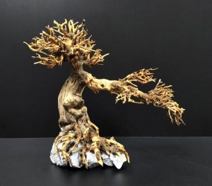 Коряга "Бонсай" 23х11х21см B70-S