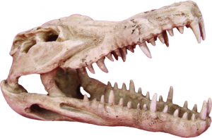 Prime Декорация пластиковая "Череп крокадила"250 х112х152мм