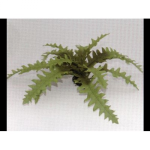 Vitality Растение шелковое Чертополох зеленый  20см 81043G-20