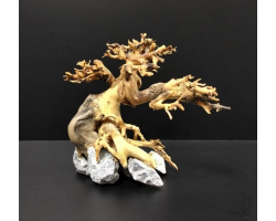Коряга "Бонсай" 15х9х13см B82-XS