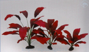 Vitality Растение шелковое Эхинодорус Кляйн Бер  30см 81010-30