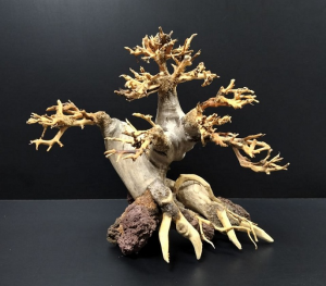 Коряга "Бонсай" 22х15х21см B77-M