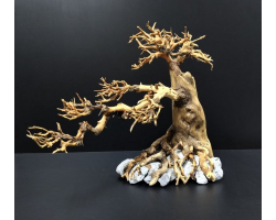 Коряга "Бонсай" 27х14х23см B83-M