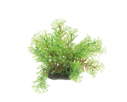 ArtUniq Myriophyllum yellow 10-12 Искусственное растение Перистолистник желтый, 10-12 см