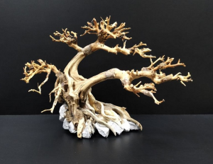 Коряга "Бонсай" 29х18х21см B92-S