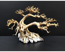 Коряга "Бонсай" 29х18х21см B92-S