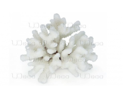 UDeco Finger Coral S Коралл пальчиковый