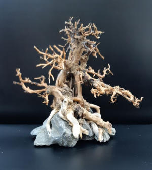 Коряга "Бонсай" 15х11х15см B09-XS