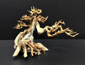 Коряга "Бонсай" 22х11х15см B79-XS