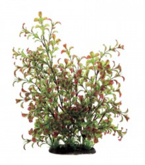 ArtUniq  Ludwigia  red-green 35 - Искусственное растение Людвигия  зеленая 35см