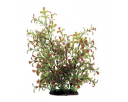 ArtUniq  Ludwigia  red-green 35 - Искусственное растение Людвигия  зеленая 35см