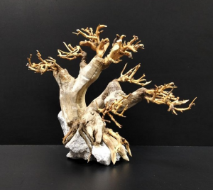 Коряга "Бонсай" 23х11х18см B87-XS