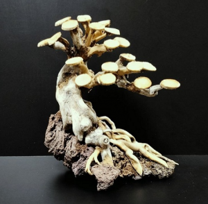 Коряга "Бонсай" 20х12х22см B56-M