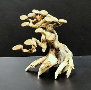 Коряга "Бонсай" 14х11х15см B51-XS