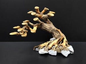 Коряга "Бонсай" 21х12х16см B80-S