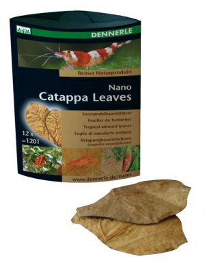 Dennerle Catappa Leaves - Листья мендального дерева