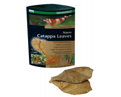 Dennerle Catappa Leaves - Листья мендального дерева