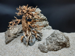 Композиция из камней и коряги "Бонсай" BS29