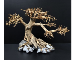 Коряга "Бонсай" 38х23х29см B73-L