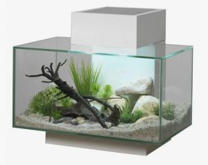 Аквариум Fluval EDGE 23л белый
