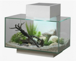 Аквариум Fluval EDGE 23л белый