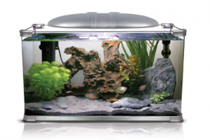 ARC TANK 2 Аквариум 45 литров+Светильник + Фильтр 40х28х45