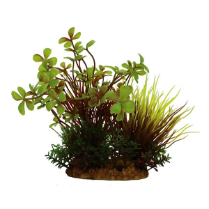 ArtUniq Марсилия в миксе растений, 15 см